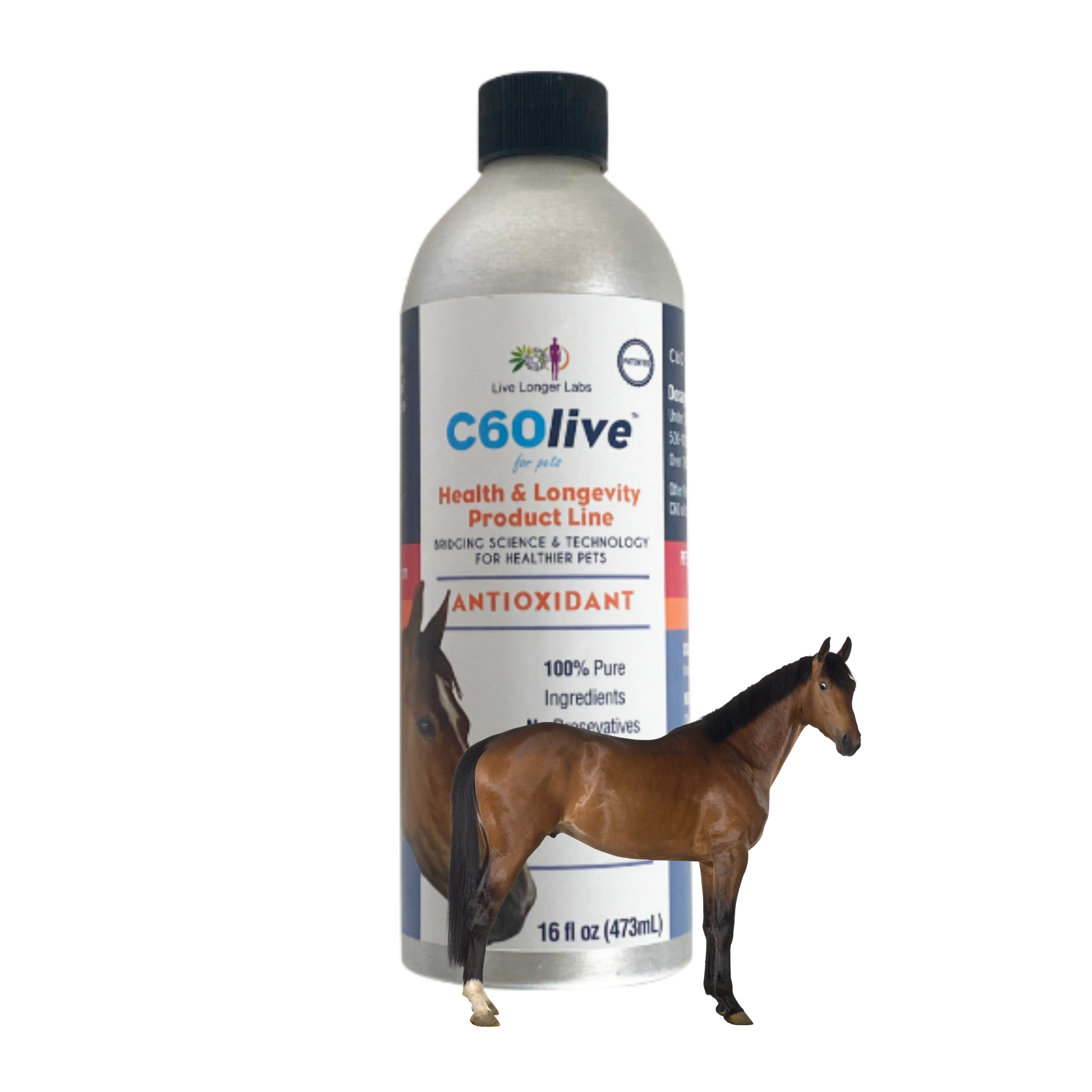 C60 Longevity for Horses