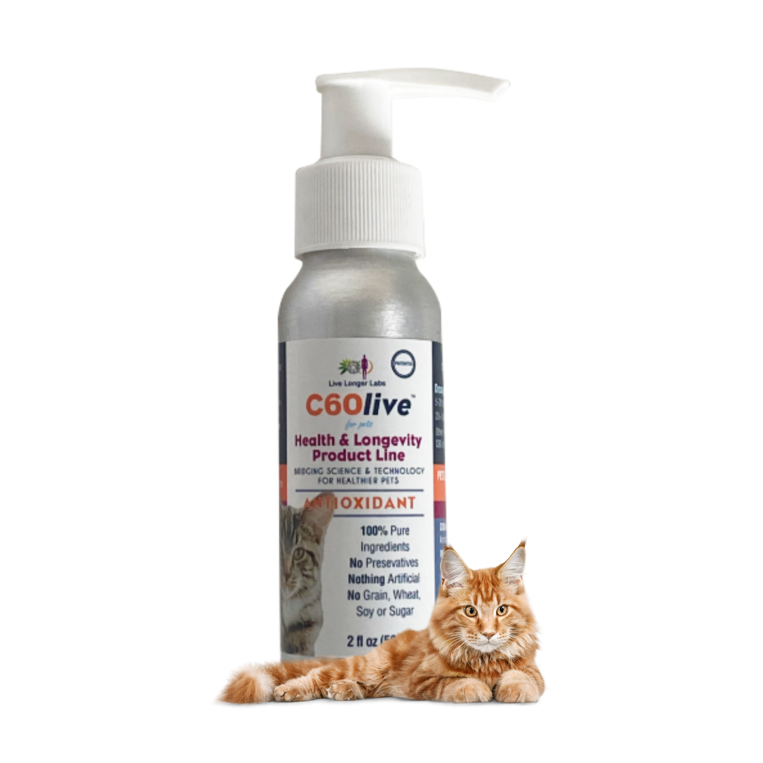 C60 Longevity for Cats